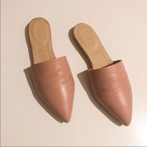 Everlane pink mules